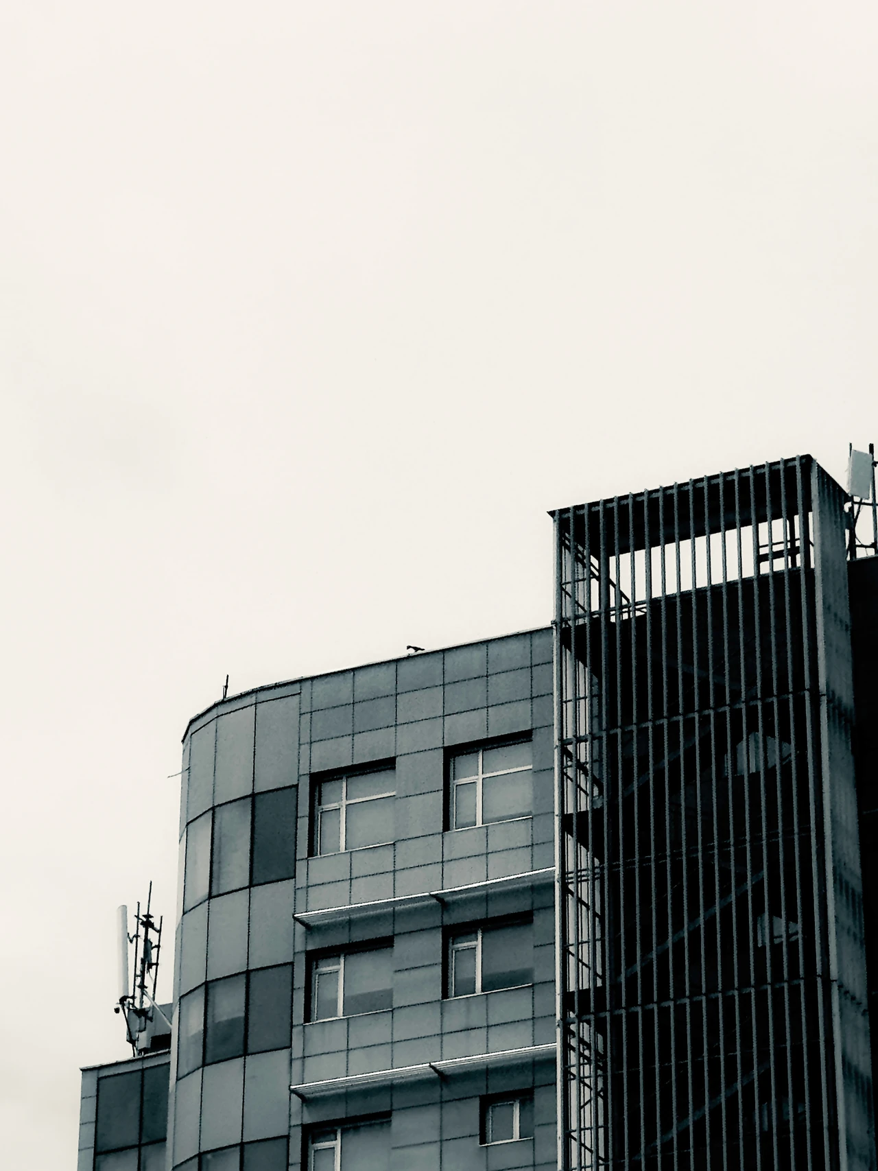 A bird perched above a building facade with vertical metal fins.