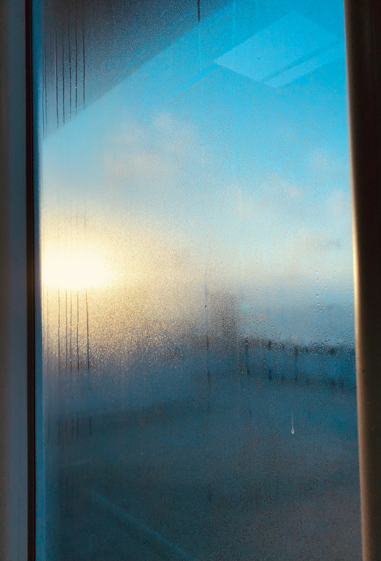 Warm sunlight seen through blue-tinted glass.