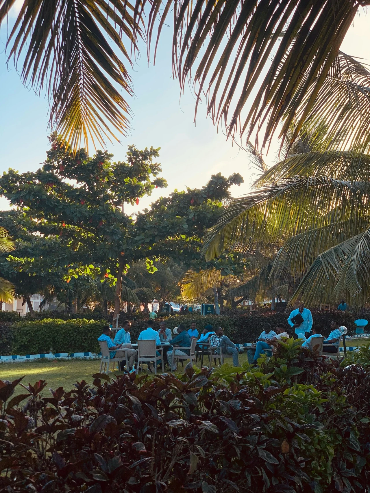 Palm fronds framing a green garden and blue chairs.